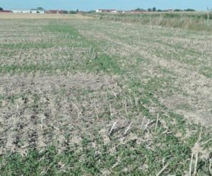 WIR: A&nbsp;może kontrole gospodarstw po powiadomieniu rolnika?