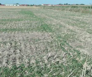 WIR: A&nbsp;może kontrole gospodarstw po powiadomieniu rolnika?