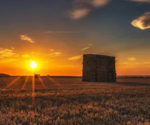 Wsparcie dla rolników, którzy przekażą swoje gospodarstwa