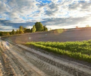 Premia za sprzedaż małych gospodarstw: do kogo jest kierowana?