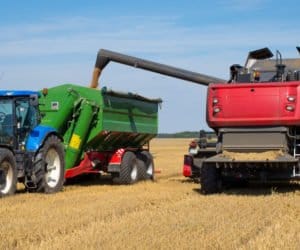 Świętokrzyskie: niższe plony niż przed rokiem