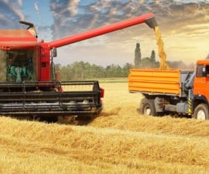 Żniwa na Opolszczyźnie: plony, ceny i&nbsp;przewidywania