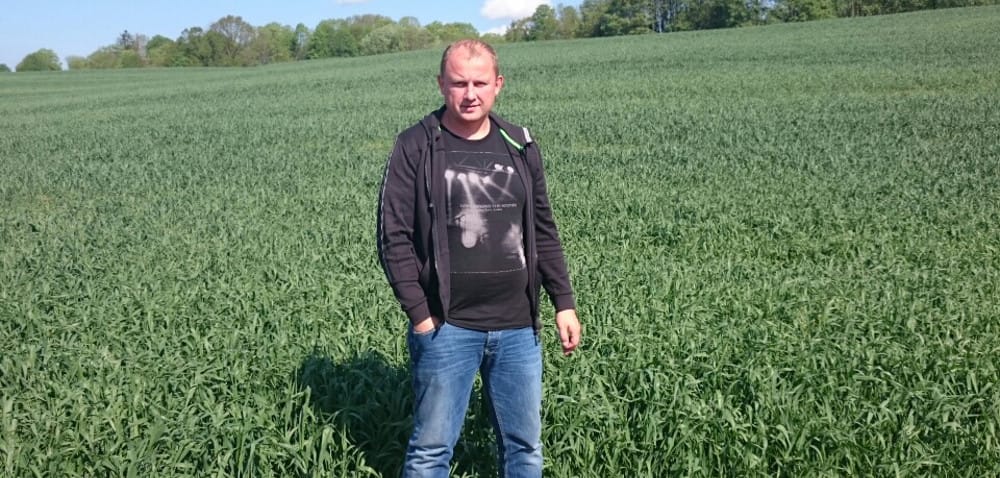 Kwalifikowane ziarno: dobre odmiany to udany plon