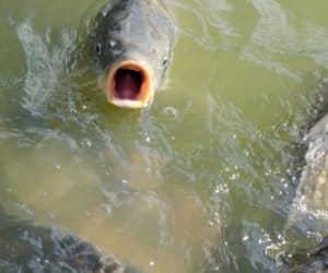 Linia PR: kredyt nie tylko na ryby