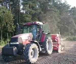 kiedy wrócą żółte naczynia