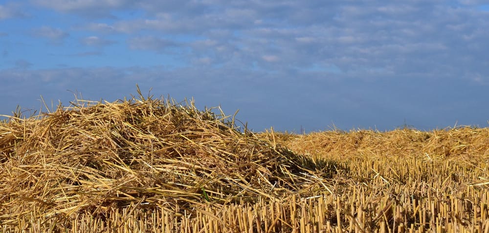 Problemy z&nbsp;wysianiem międzyplonów ścierniskowych!