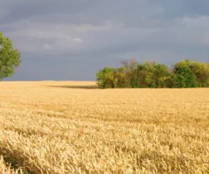 Południe: ciągła walka z&nbsp;pogodą