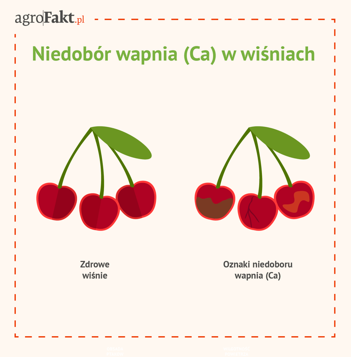 akademia nawożenia intermag wiśnie
