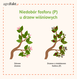 akademia nawożenia intermag wiśnie