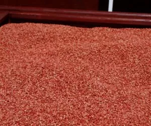 Postaw na dobrą zaprawę nasienną do pszenicy ozimej – triazole to za mało