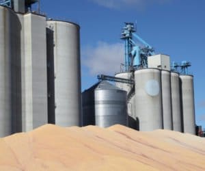 Południowy zachód: coraz więcej ziarna w&nbsp;magazynach