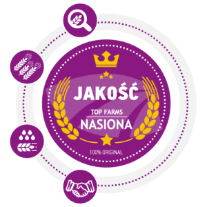 doradztwo