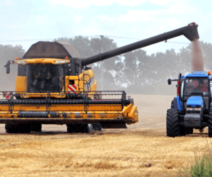 Żniwa 2018  – jakie zbiory zbóż?