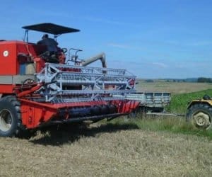 Zachodniopomorskie: trwa zbiór zbóż. Paniki nie ma