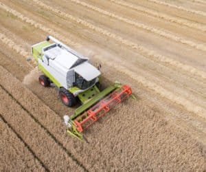 Opolszczyzna: żniwa na półmetku