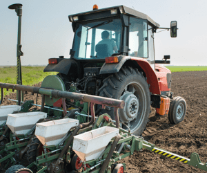 Nie sieją jęczmienia ozimego na Kaszubach!