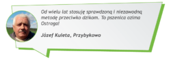Józef Kuleta