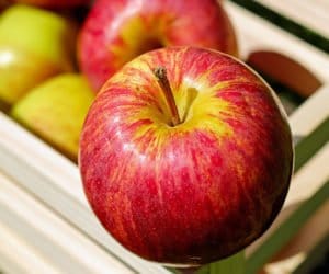 Wsparcie za wycofanie owoców i&nbsp;warzyw