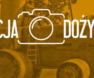 Konkurs zakończony!