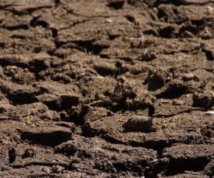 Susza utrudnia rolnikom siew, a&nbsp;roślinom wschody