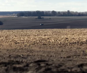 Łódzkie: susza wstrzymuje wszystkie prace