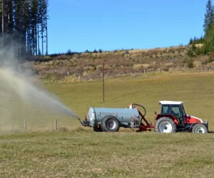 Gnojowica i&nbsp;gnojówka: jak stosować je bezpiecznie?