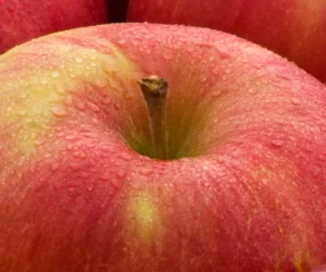 Idared: odmiana nie taka zła!