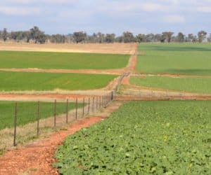 Kredyty preferencyjne i&nbsp;MRcsk: na jakie inwestycje?