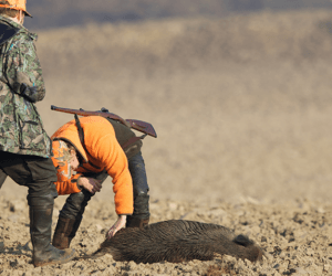 Apel myśliwych do rolników!