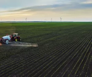 bayer monsanto
