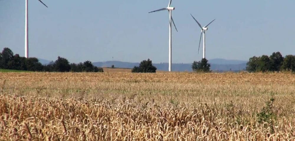 Jeśli materiał siewny, to wyłącznie kwalifikowany!