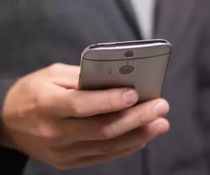 Masz pytania dotyczące ASF? Zadzwoń!