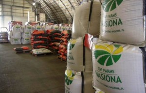 nasiona kwalifikowane i sprawdzone odmiany