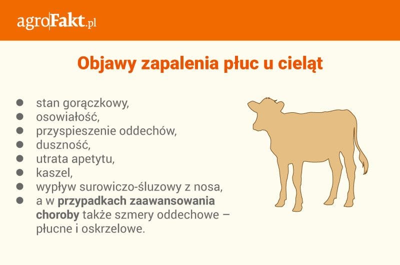 4-zapalenie-objawy