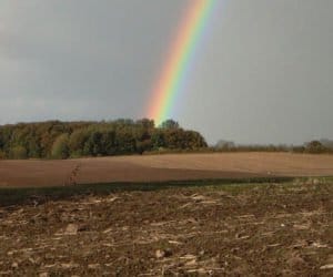 Wielkopolska: wreszcie pada! W&nbsp;samą porę!