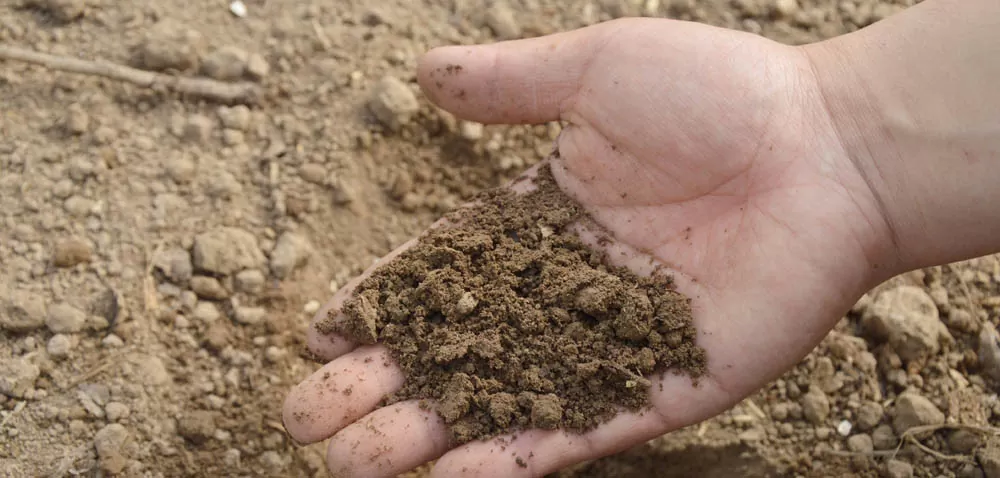 Analiza gleby – kto ją wykonuje?