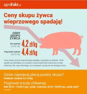 ceny żywca