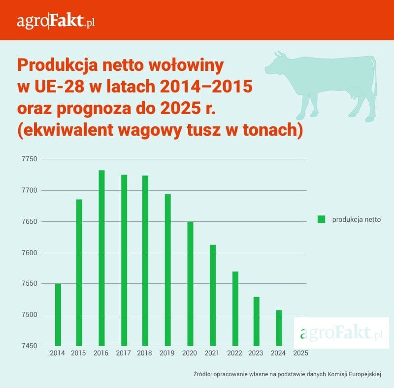 info-tabele_produkcja