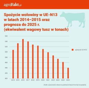 info-tabele_ue-n13