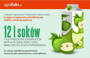 producenci jabłek katner