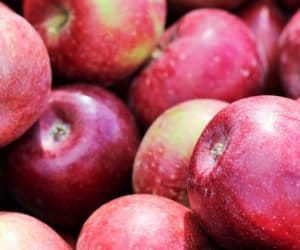Jabłka 2016: pojadą do Egiptu i&nbsp;Chin, ale nie do Rosji