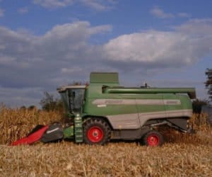 Deszcz spowalnia zbiory kukurydzy