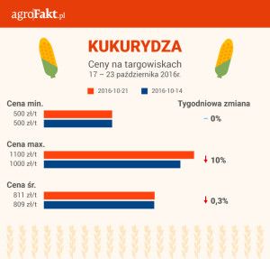 kukurydza-wykres1