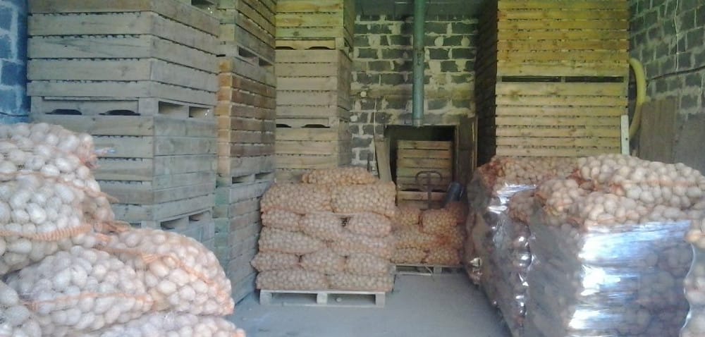 Sucha zgnilizna bulw ziemniaka