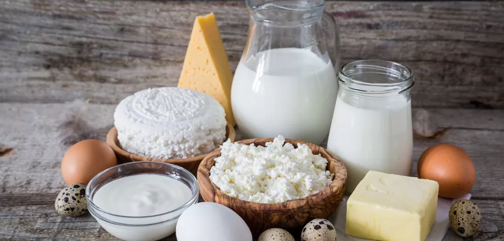 Prognoza produkcji produktów mlecznych