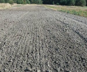 Łódzkie: oziminy nie wschodzą!