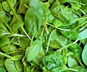 Uprawiasz szpinak? Przeczytaj!