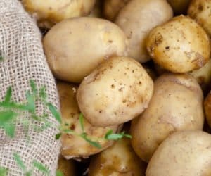 Dużo polskich ziemniaków. Czy mają szansę na eksport?