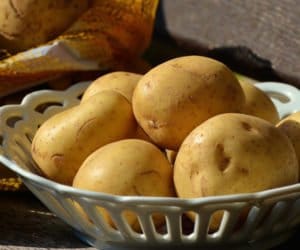 Ziemniaki: cudze chwalicie, swego nie znacie!