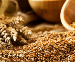 Odstępstwo rolne i&nbsp;opłata licencyjna – kto i&nbsp;komu płaci?